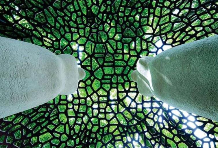 biophilic design