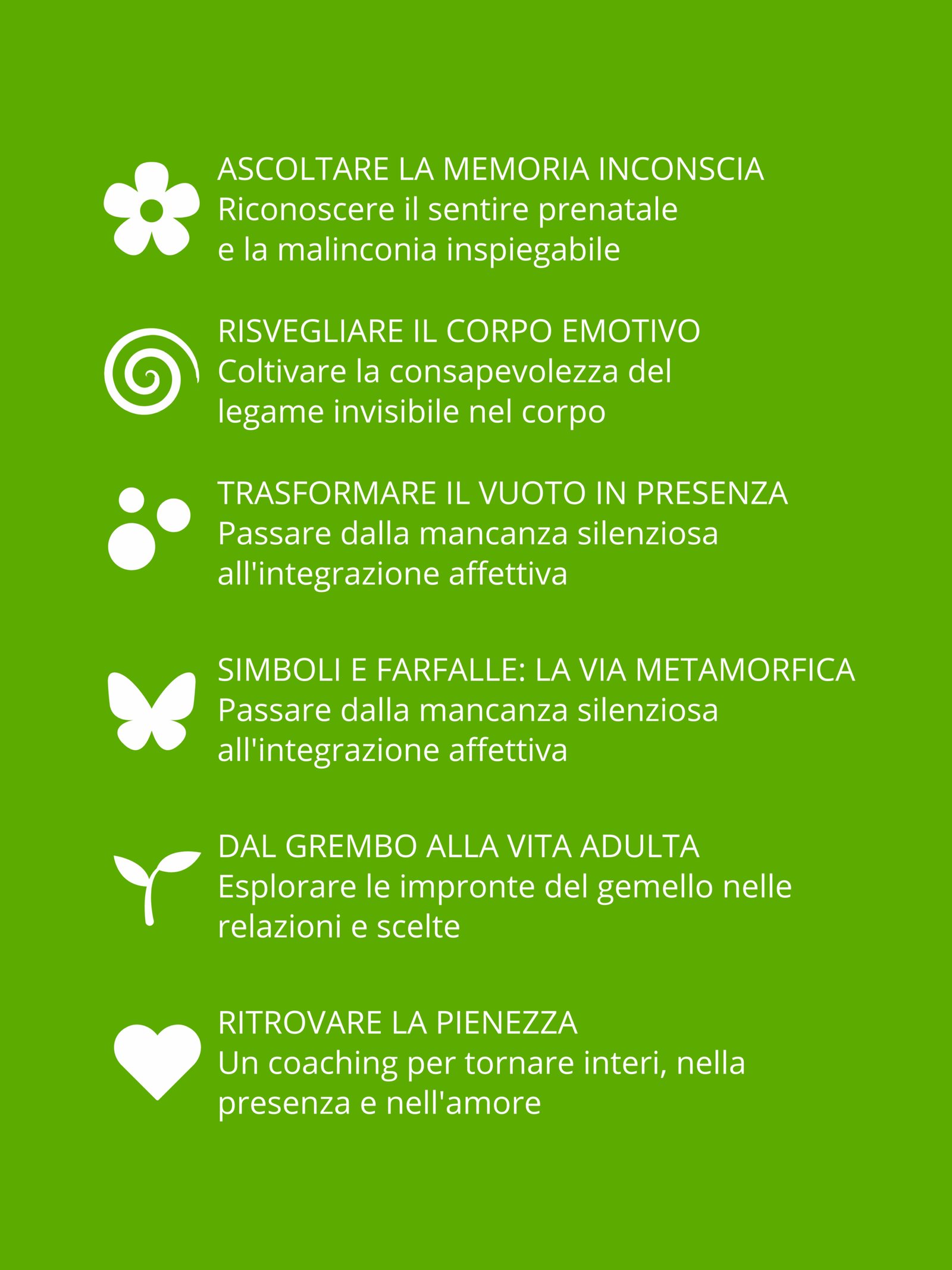 descrizione corso gemello